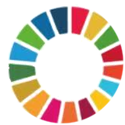 联合国 SDG 标识